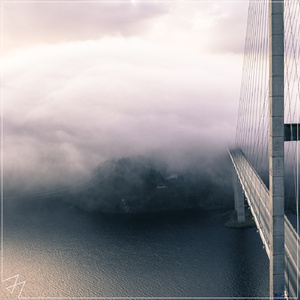 欧一美—美–交–黄–片
