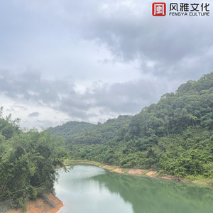 欧一美—美–交–黄–片
